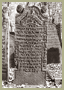 Altona 1703